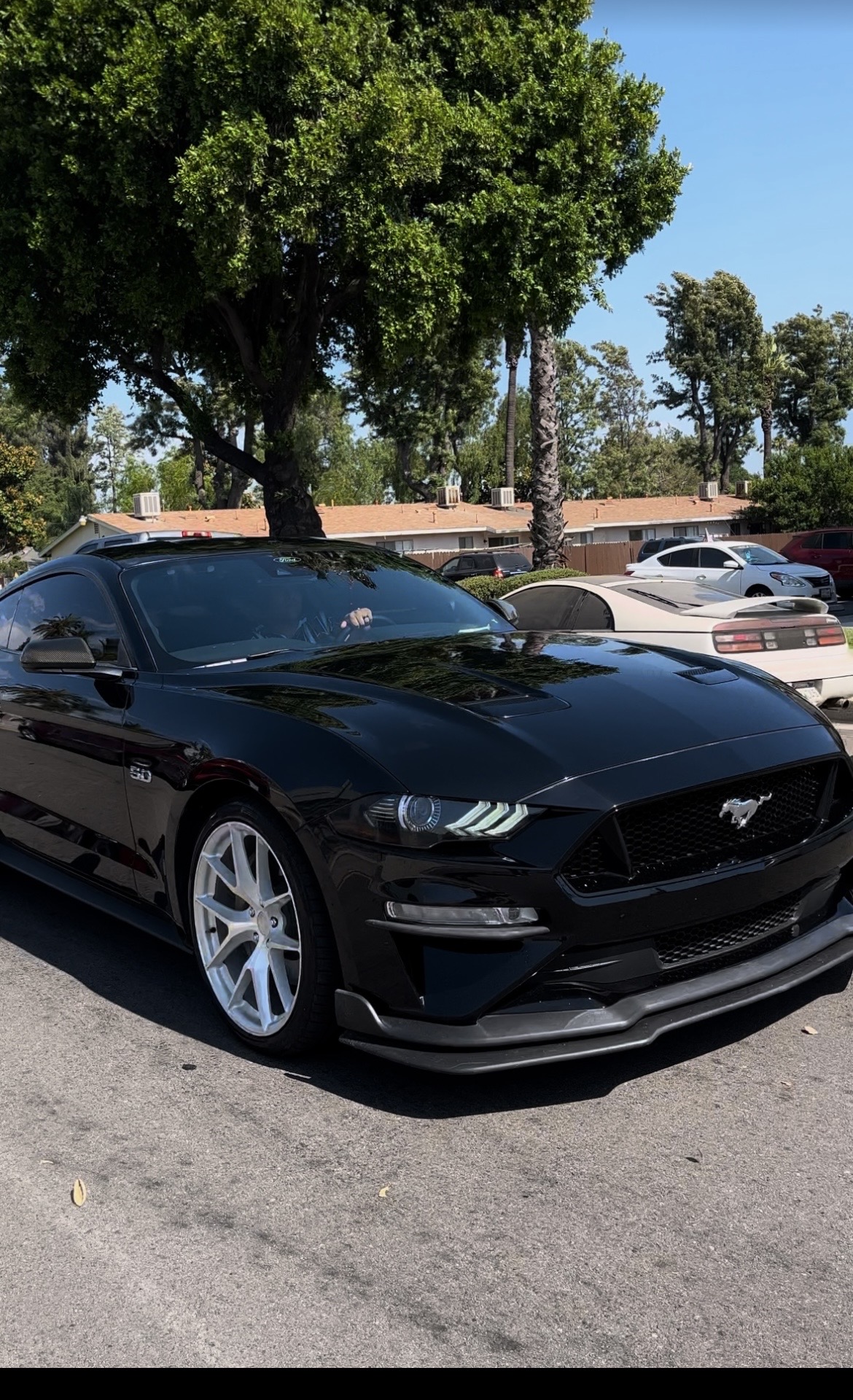 Glossy luxury car detailed by Krispy Mobile Detailing